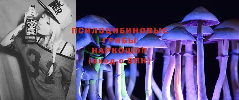 Галлюциногенные грибы MAGIC MUSHROOMS  Алейск 